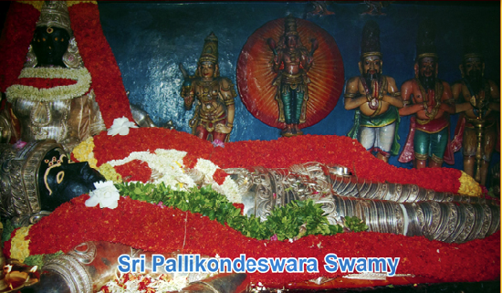 Sri Pallikondeshwara swamy temple at Suruthapalli. Parvathi held the poison in the throat she is called as `Sarvamangalabigar In Surutapalli.